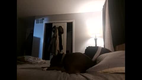 Snapshot of fkmylife6669 chatting on 11.02.25 Nate online show from 11.02.25