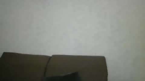 Snapshot of flamingo797424 chatting on 01.25.25 flamingo797424 online show from 01.25.25