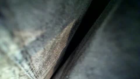 flash online show from 02.28.26