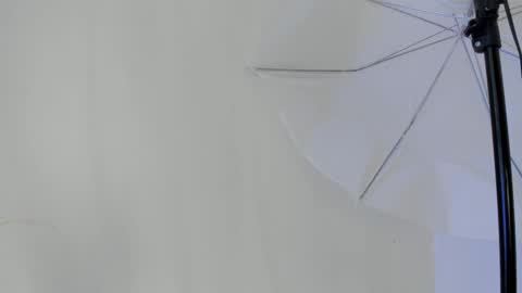 Flavia online show from 01.11.26