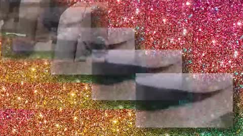 Flextle Bunny online show from 01.17.26