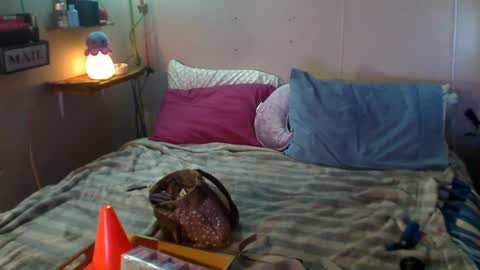 Snapshot of flopikin69 chatting on 12.22.24 Eisha online show from 12.22.24