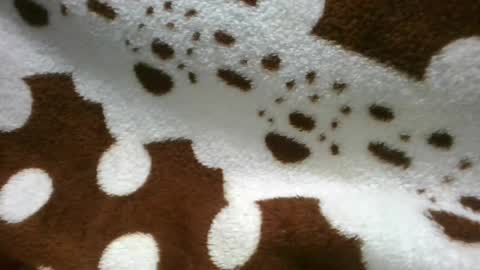 Snapshot of flora48230522373 chatting on 06.21.26 flora48230522373 online show from 06.21.26