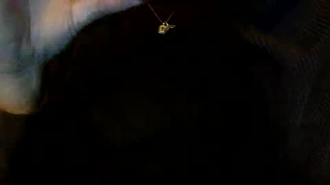 Snapshot of floraexploration chatting on 12.23.24 floraexploration online show from 12.23.24