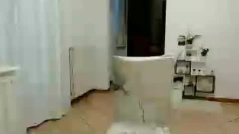 Snapshot of florya4you chatting on 06.12.26 florya4you online show from 06.12.26