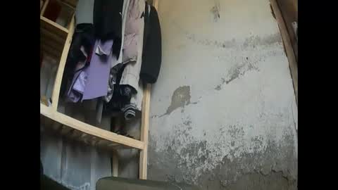 flowers555 online show from 02.06.25