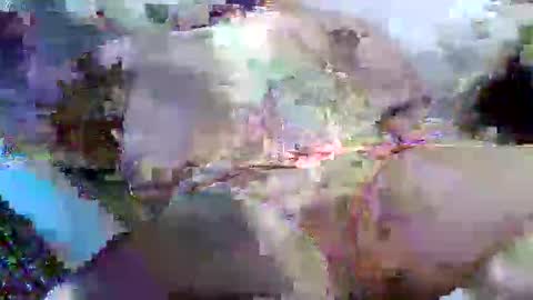 Snapshot of flufferbutt2 chatting on 04.14.26 flufferbutt2 online show from 04.14.26