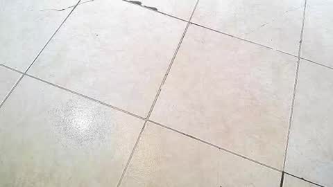 flyckers online show from 09.13.25