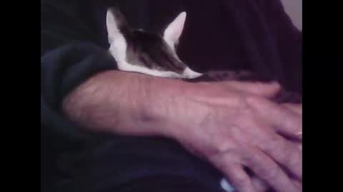 Hooz2no online show from 10.12.25