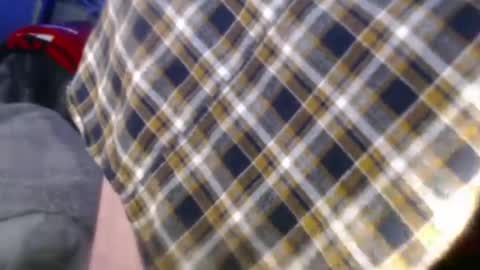 forestnymphpdx online show from 12.24.24