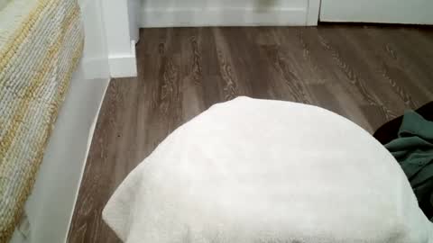 forestnymphpdx online show from 10.19.25