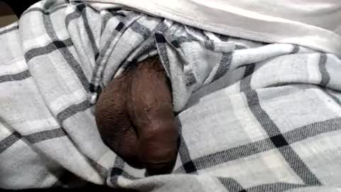 foster19422002 online show from 02.20.25