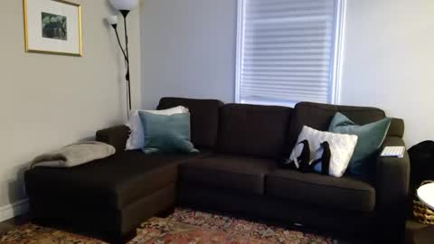 Foxy online show from 10.07.25