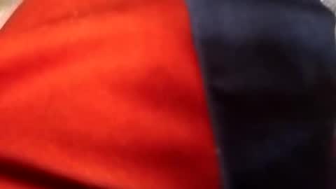 Snapshot of francis158915 chatting on 09.11.25 francis158915 online show from 09.11.25