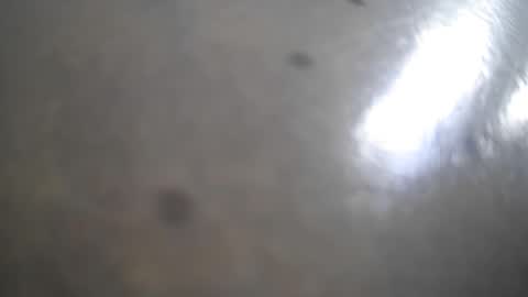 Snapshot of frank_sweetdick chatting on 05.13.26 frank_sweetdick online show from 05.13.26