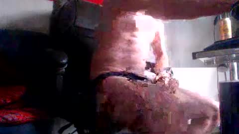 yo online show from 02.28.26