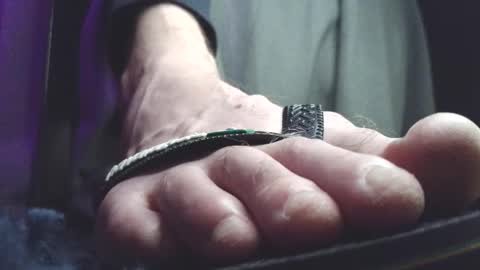 Greedy Fred online show from 03.05.26