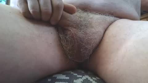 free_amos online show from 03.07.26