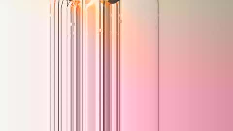 frenchcouple739 online show from 12.13.24