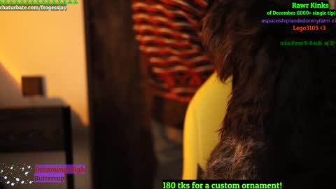   Jaywise Frogfoot  online show from 12.26.24