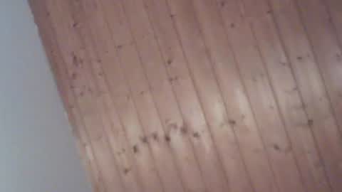 Snapshot of fromgermanywithlove1 chatting on 01.06.26 fromgermanywithlove1 online show from 01.06.26