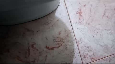 Snapshot of fronion chatting on 02.23.25 Hornycouple1386 online show from 02.23.25