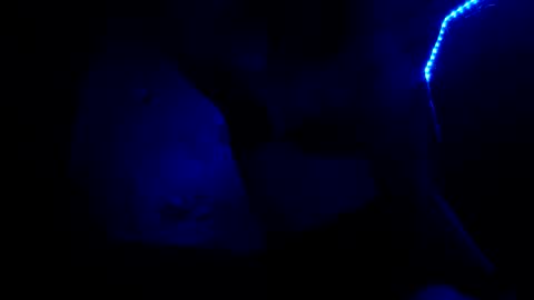 Snapshot of fu338208 chatting on 10.26.25 fu338208 online show from 10.26.25