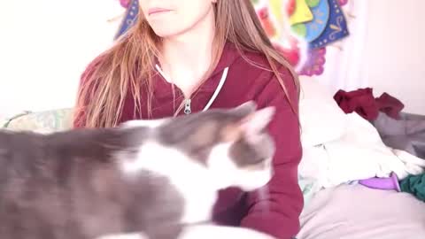 fuckmypussyplz1 online show from 03.02.25