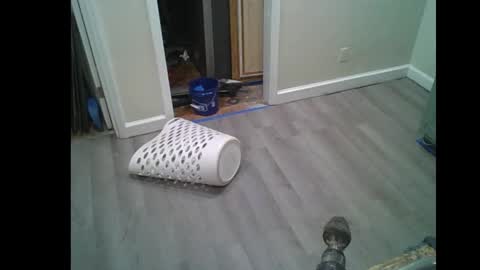 fuckwithmeonetime01 online show from 02.16.26