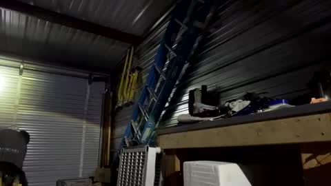 fun2bemade online show from 11.02.25