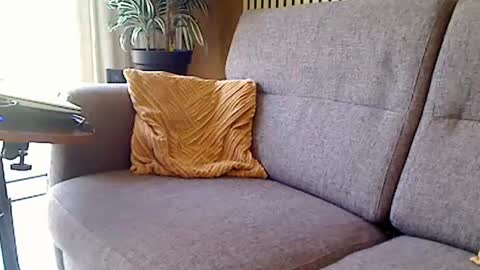 Snapshot of fun4couples chatting on 06.19.26 fun4couples online show from 06.19.26