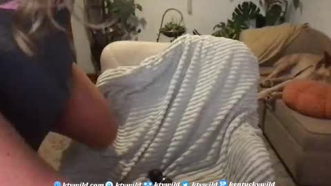   Thank you for visiting I hope you had fun 3 online show from 11.19.25