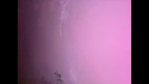 Snapshot of fungi4591 chatting on 11.17.25 Daniel kim online show from 11.17.25