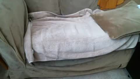 Snapshot of funlovinchub chatting on 02.08.26 funlovinchub online show from 02.08.26