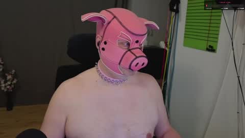 Snapshot of funnypiggy chatting on 05.16.26 Piggy online show from 05.16.26