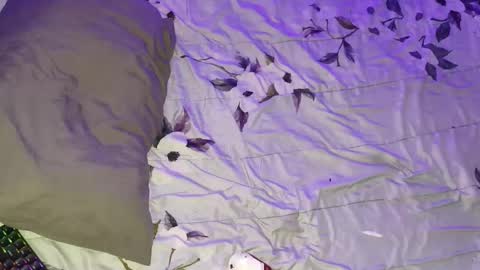 Snapshot of gabriel_olx chatting on 03.16.26 gabriel online show from 03.16.26