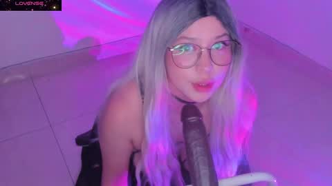 PROXIMO SHOW NOVIEMBRE 16   NEXT SHOW NOVEMBER  16    online show from 12.15.24