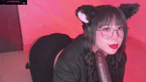 PROXIMO SHOW NOVIEMBRE 16   NEXT SHOW NOVEMBER  16    online show from 12.20.24