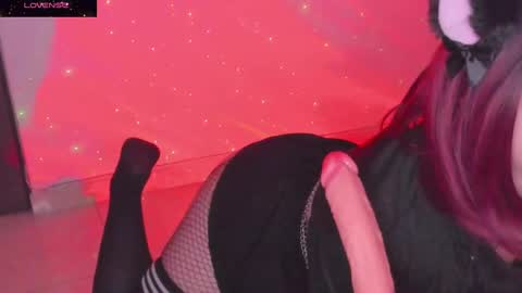 PROXIMO SHOW NOVIEMBRE 16   NEXT SHOW NOVEMBER  16    online show from 01.06.25