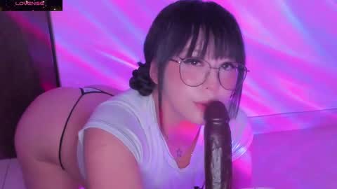 PROXIMO SHOW NOVIEMBRE 16   NEXT SHOW NOVEMBER  16    online show from 01.18.25