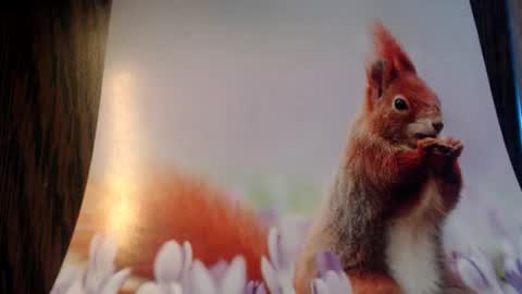 Snapshot of galera100 chatting on 03.03.26 galera100 online show from 03.03.26