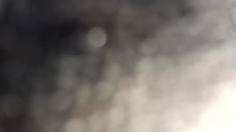 Snapshot of gallistuthomas440 chatting on 10.29.25 gallistuthomas440 online show from 10.29.25