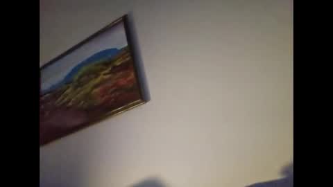 Snapshot of garbis11 chatting on 01.28.25 garbis11 online show from 01.28.25