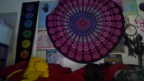 Gardenia online show from 02.05.26