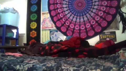 Gardenia online show from 02.22.26