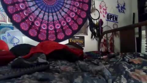 Gardenia online show from 04.04.26