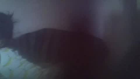 Snapshot of gasielah chatting on 01.27.25 gasielah online show from 01.27.25