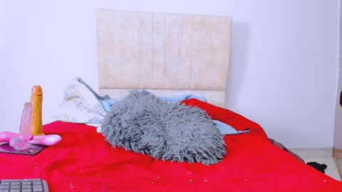 Snapshot of gatita13333321 chatting on 12.23.24 gatita13333321 online show from 12.23.24