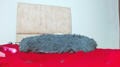 Snapshot of gatita13333321 chatting on 01.26.25 gatita13333321 online show from 01.26.25