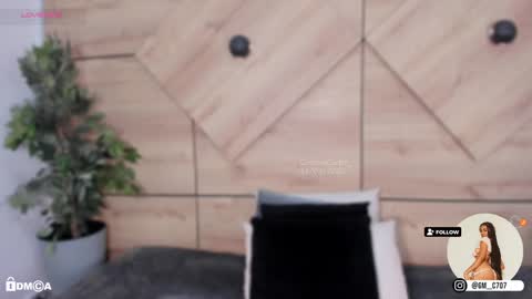    online show from 01.24.25